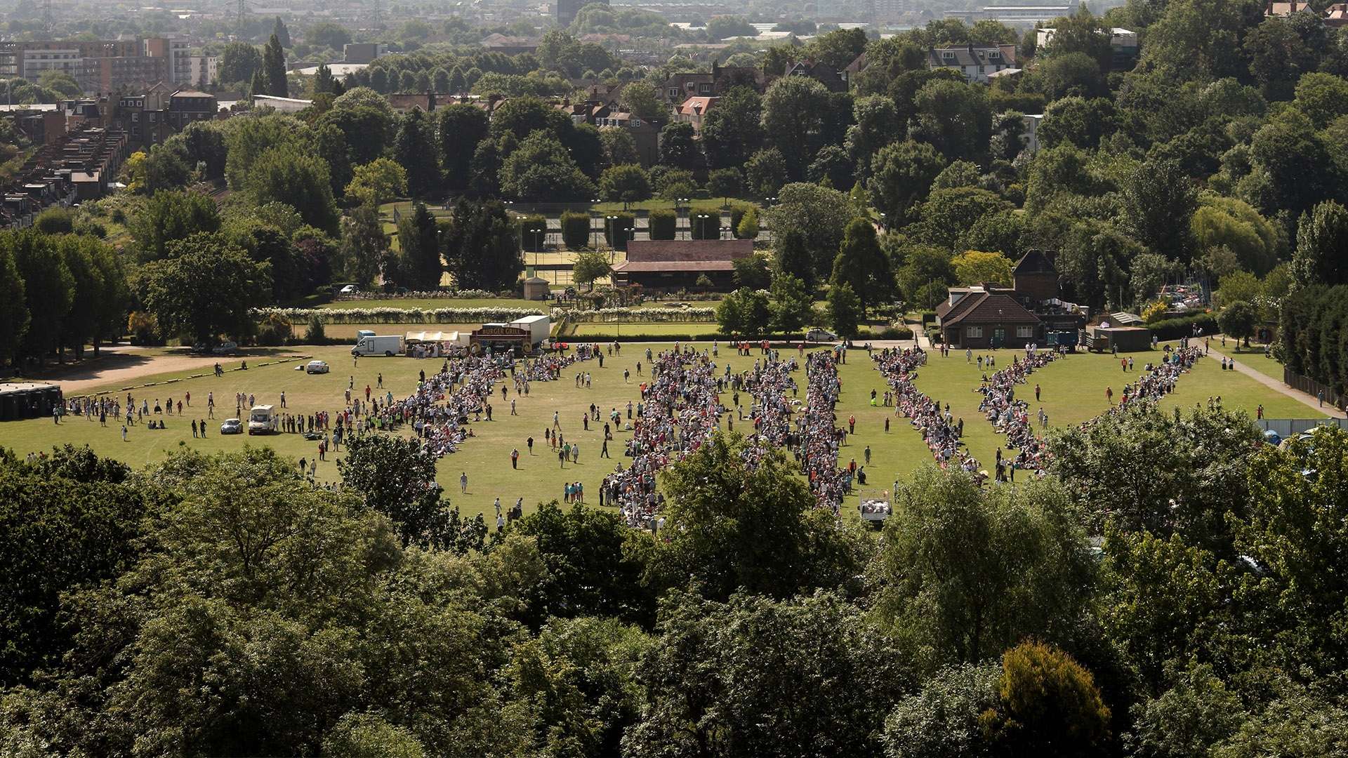 何他们是欧 何他们是欧