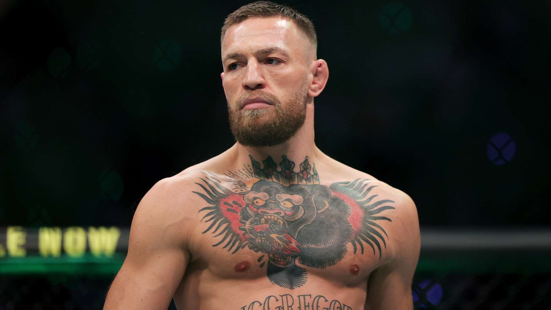 的渴望与坚 的渴望与坚