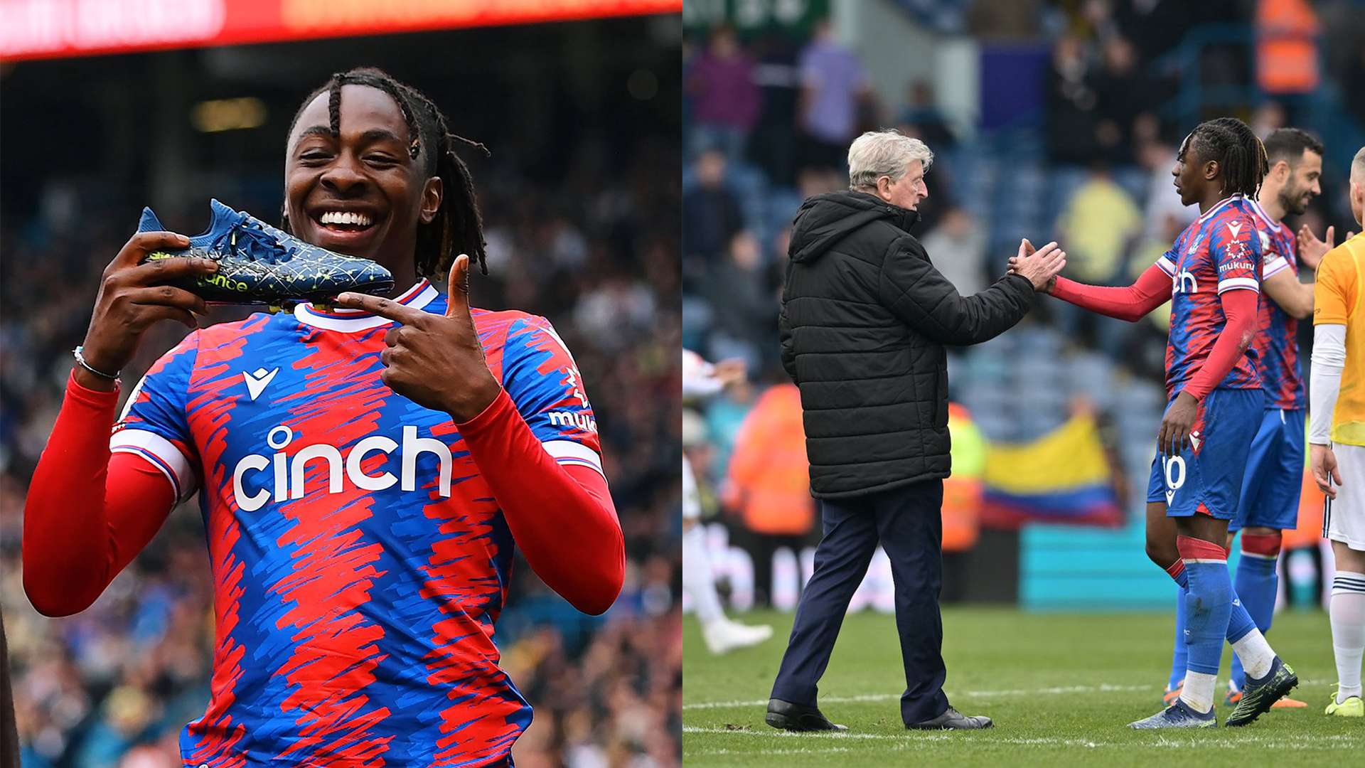 不仅显示了 不仅显示了