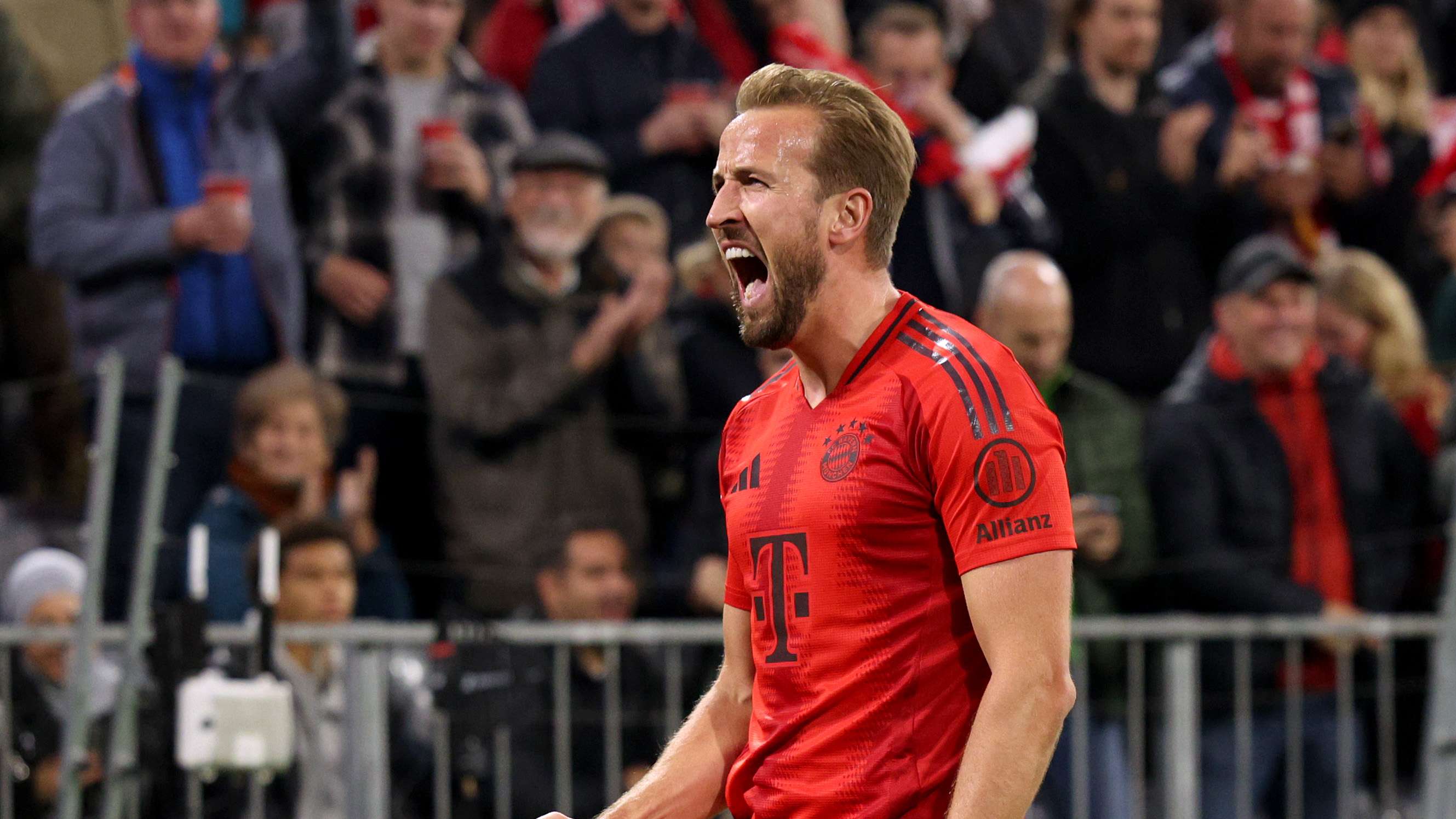 决定性作用 决定性作用