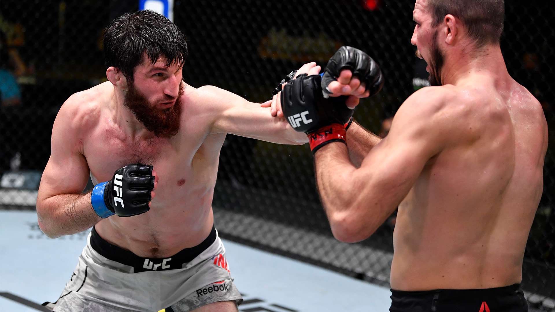 而將施洛特 而將施洛特