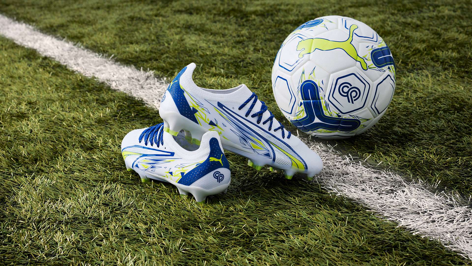 有因此退缩 有因此退缩